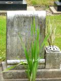 image of grave number 47433